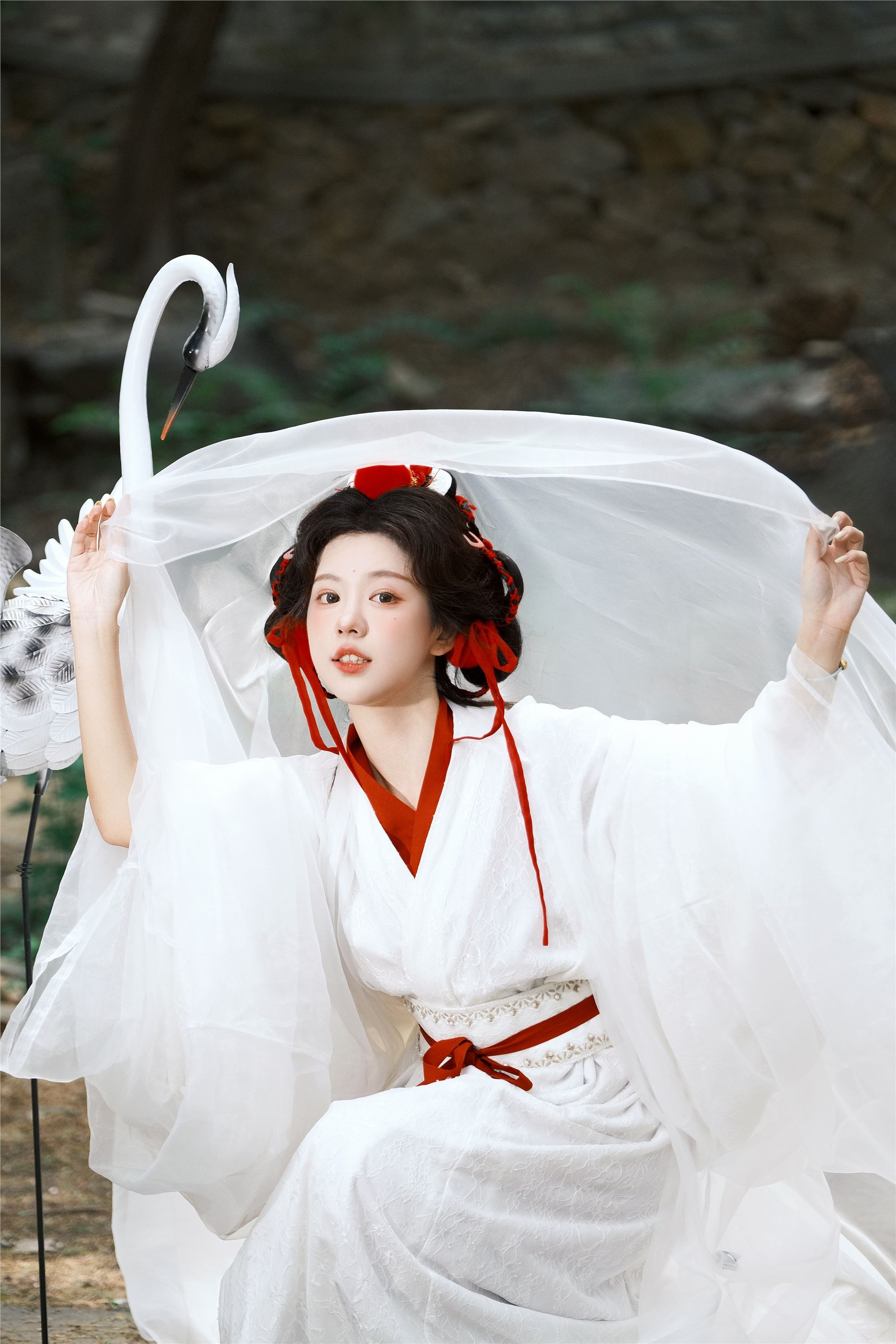 YITUYU艺图语 2025.02.05 鹤 整整